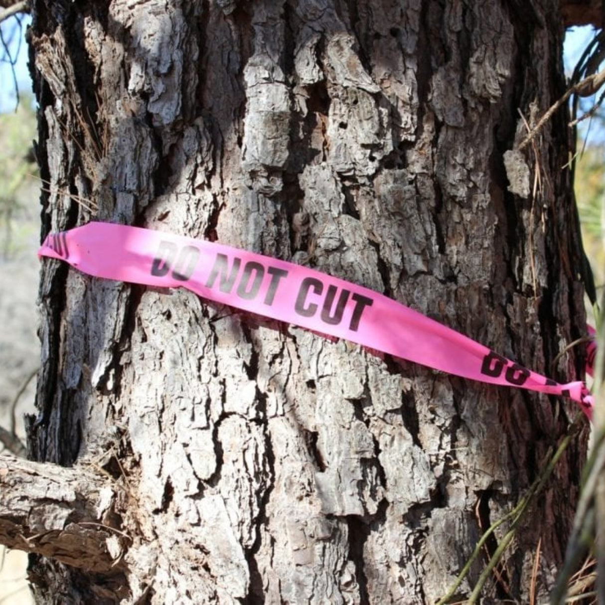 Printed Roll Flagging Tape Durable & High Visibility | Utility Pipe Supply