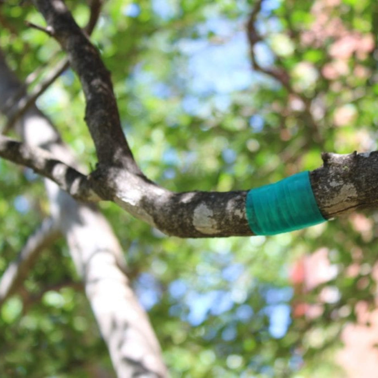 Nursery Roll Flagging Tape | Utility Pipe Supply