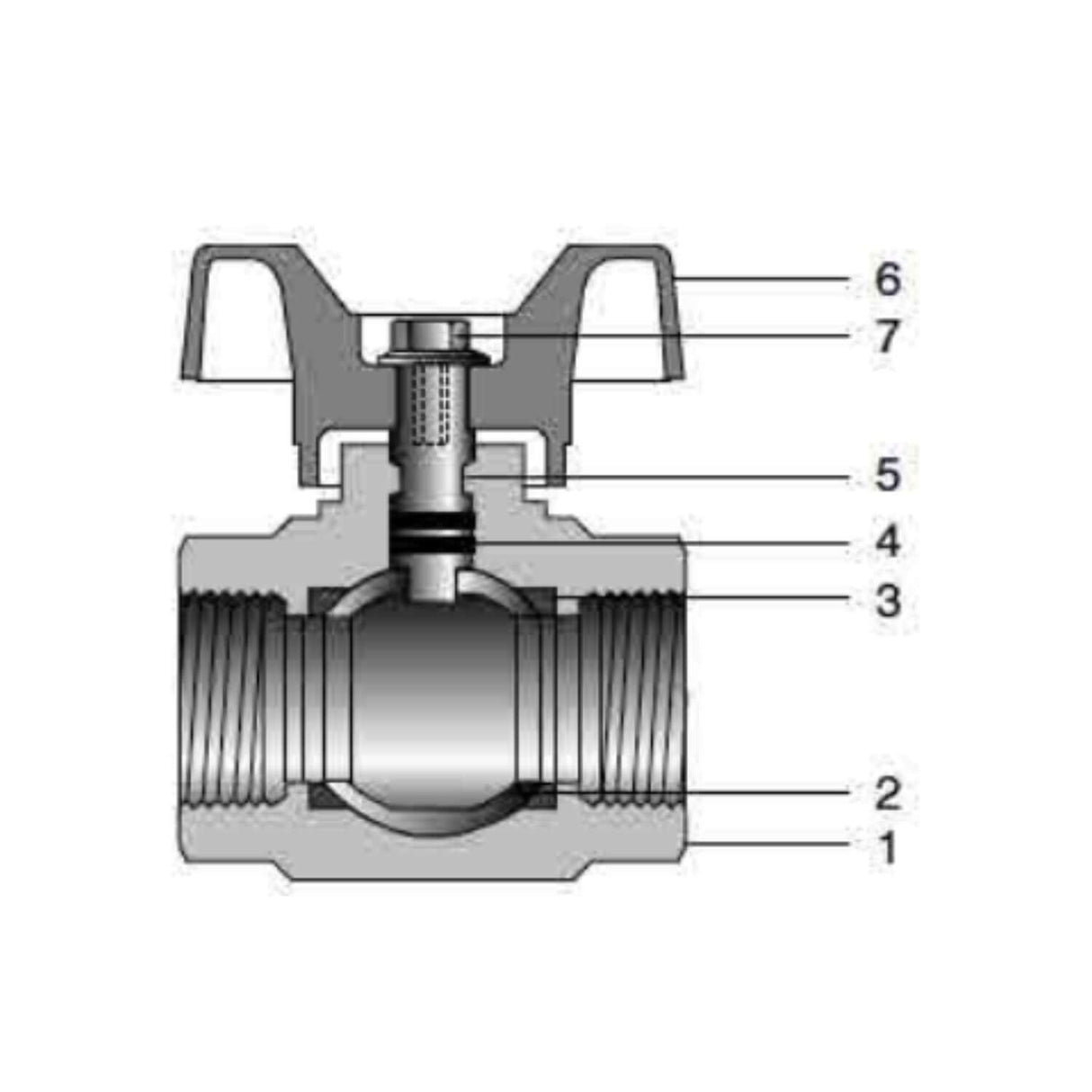 Polypropylene ball valve 5071PP series with threaded FNPT connection, showcasing internal components and design.