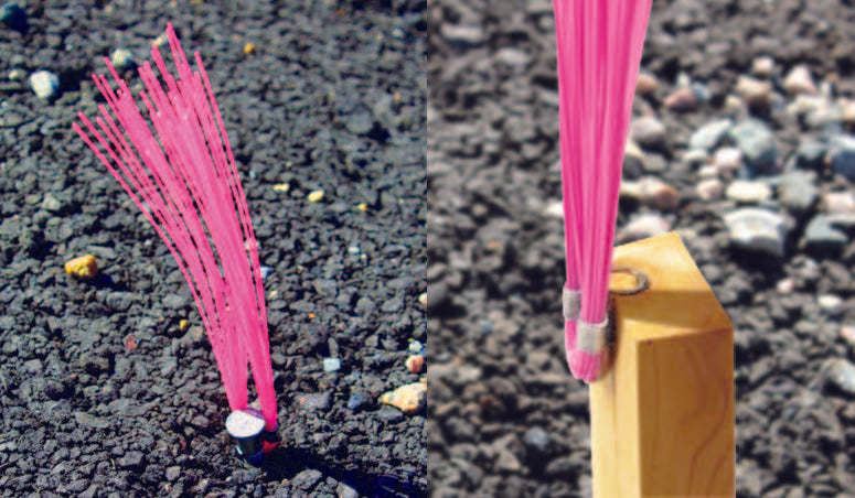 Color-Coded Marking Whiskers | 6" Poly Whisker Markers