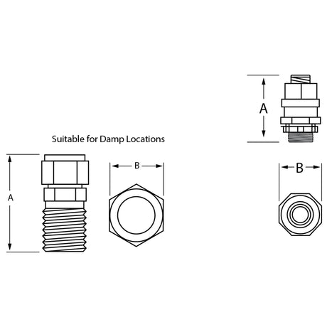 Stainless Steel Rigid/IMC Compression Connectors