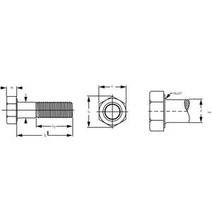 Stainless Steel Hex Head Cap Screws