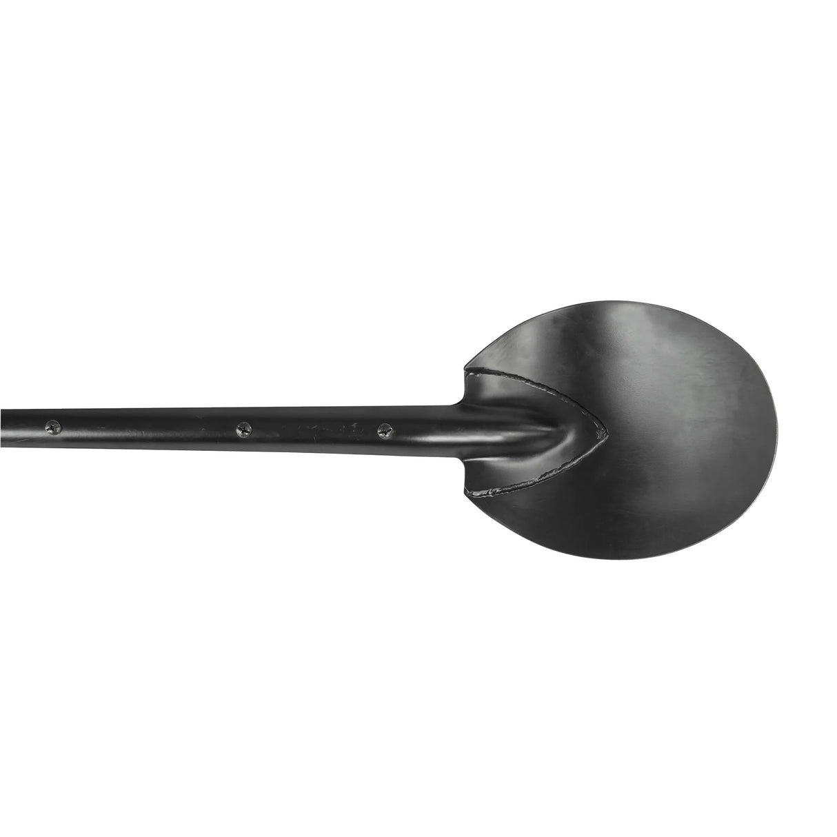 TiiGER Eastern Spoon rounded head close-up for light, sandy soils